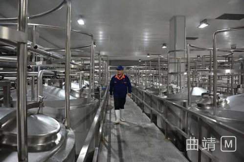 陸良2.8億投資項目順利進入試生產(chǎn)階段，區(qū)域經(jīng)濟迎來發(fā)展新動能